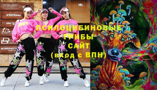мдпв Балахна