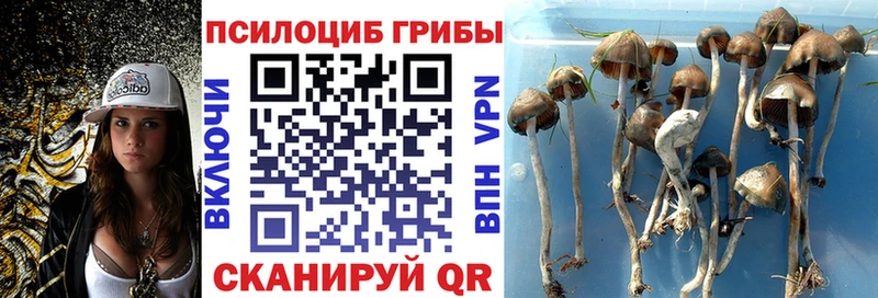 Псилоцибиновые грибы мухоморы Дальнегорск